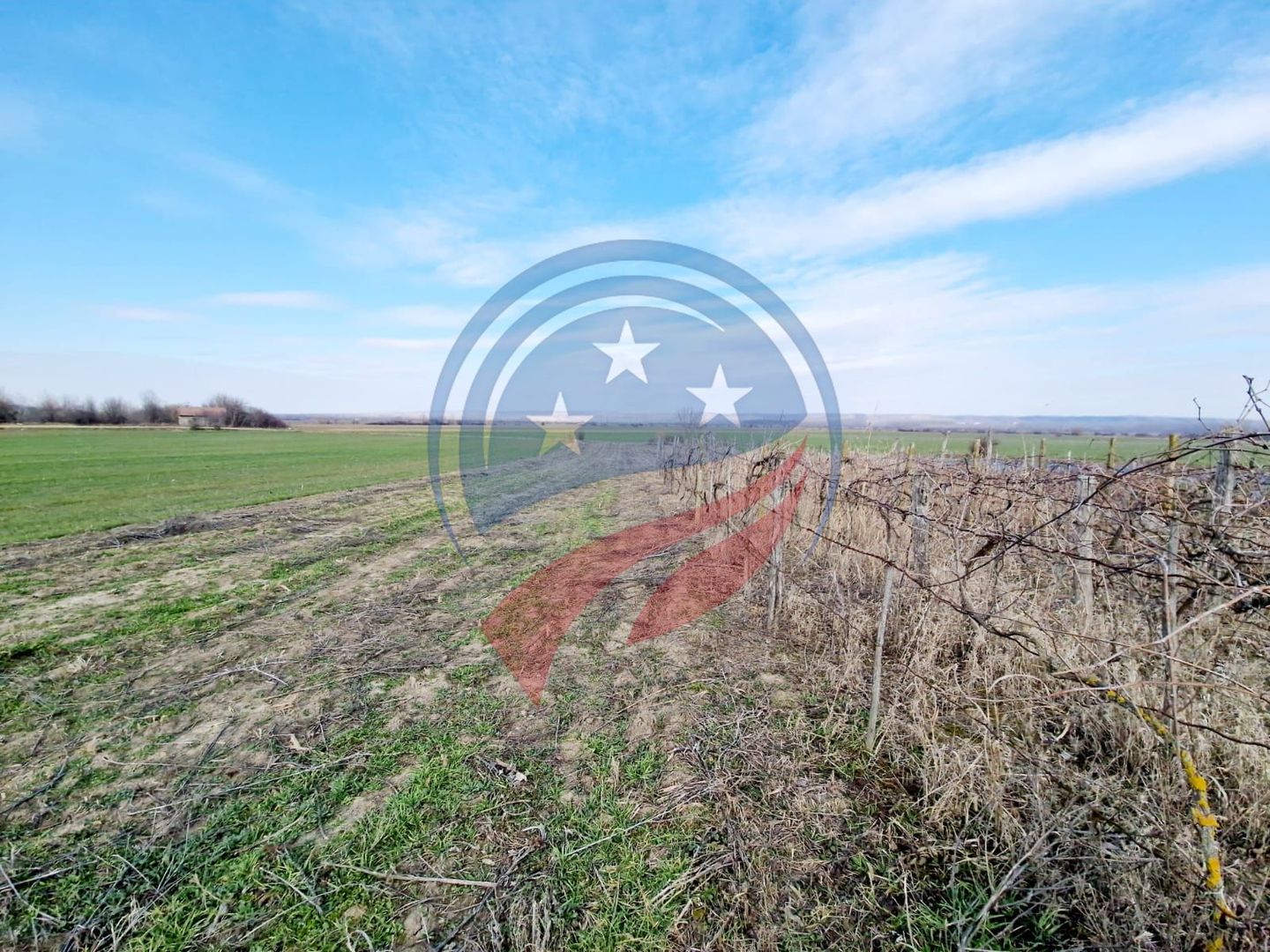 CASA SCAESTI + TEREN - 5473 mp intravilan - Poză 2