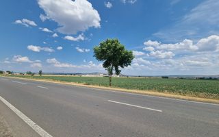 Teren agricol la sosea, pretabil si ptr constructii industriale - Poză 8