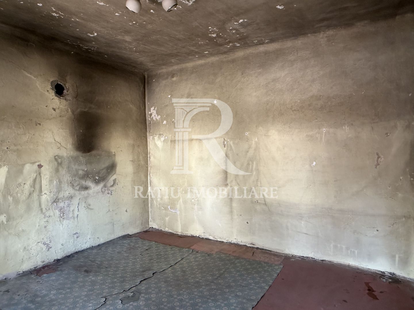 Casa Demolabila | 1995mp teren | Posoloaca | Bihor - Poză 11