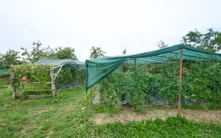 Casă cu teren generos – Vedea-Arges - Poză 33