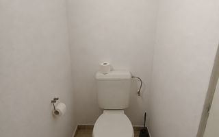 Casă de vanzare cu 4 camere 107 mpu pivnita anexe curte gradina Sebes - Poză 10