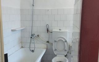 Apartament cu 1 Cameră și Curte – Gruia, Zonă de Case - Poză 6