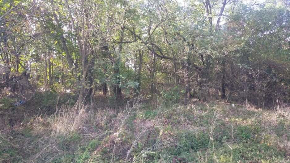 Teren de vânzare în Dascalu, judet Bucuresti Ilfov - Poză 13