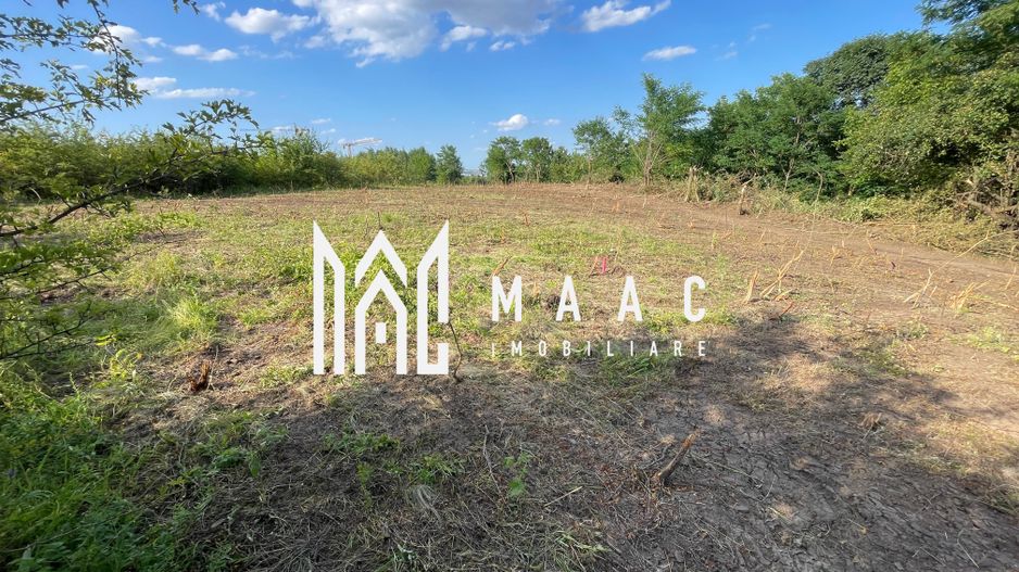 Oportunitate de Investiție Strategică | Teren Intravilan | Colonia Becas - Poză 1