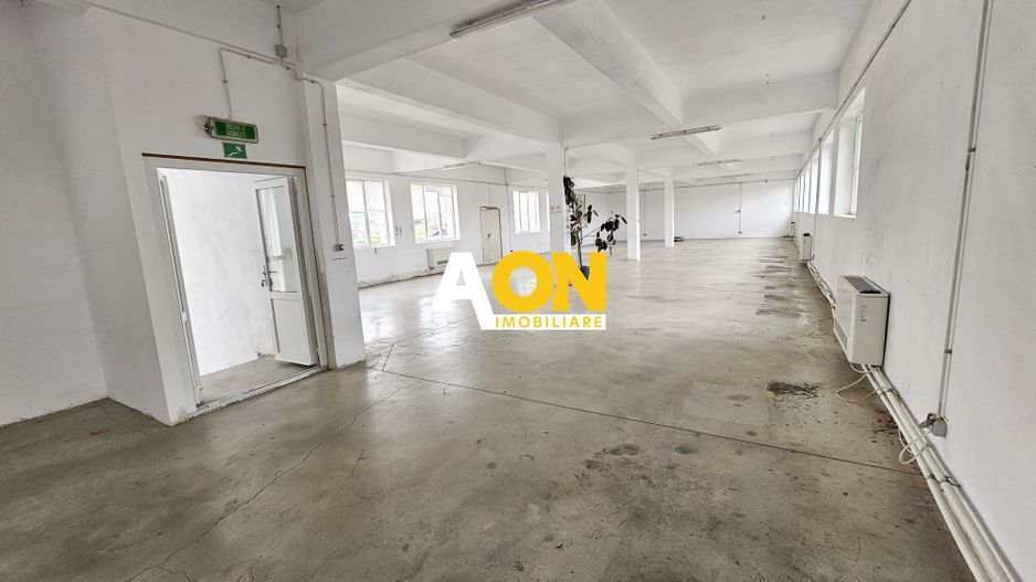 Spatiu industrial pentru productie sau depozitare, 1600 mp, Sebes - Poză 21