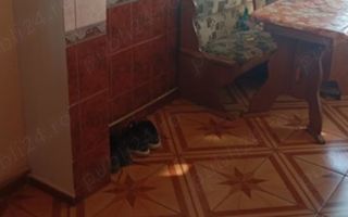 OCAZIE 3 CAMERE DECOMANDAT METROU APARATORII PATRIEI - Poză 4