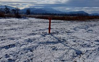 Loturi de 500 pana la 700mp, gata sa primeasca culoare si forma - Poză 5