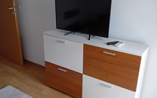 Duplex elegant I Terasa si curte proprie I zona Aradului - Poză 11