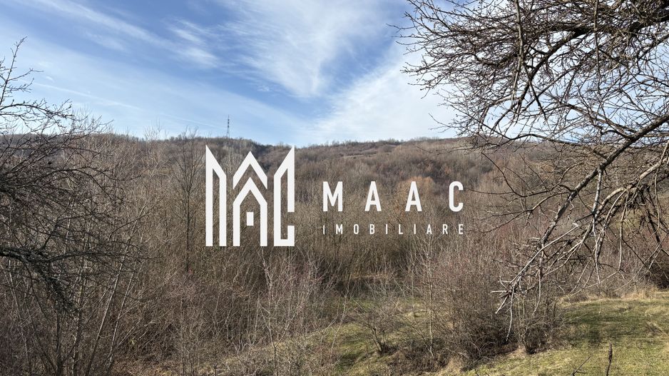 Teren  extravilan I 5300 mpI  Salatrucel -Calimanesti - Poză 4