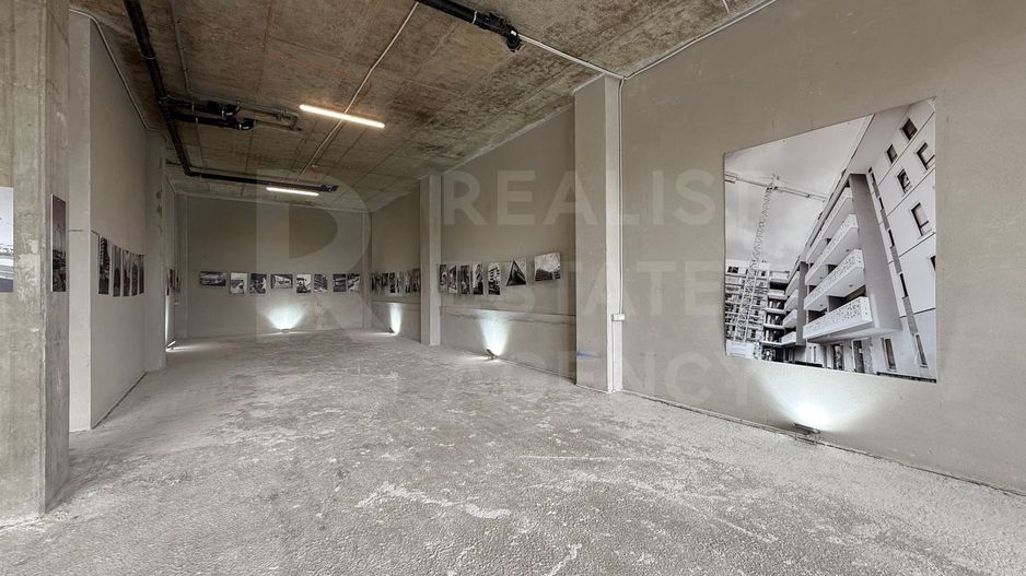 Vânzare, spațiu comercial, 245 mp, Torontal, Timișoara - Poză 4