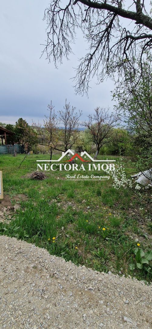 NECTORA IMOB-Teren Zona Podgoria,3400 mp (Intravilan + Extravilan) - Poză 5
