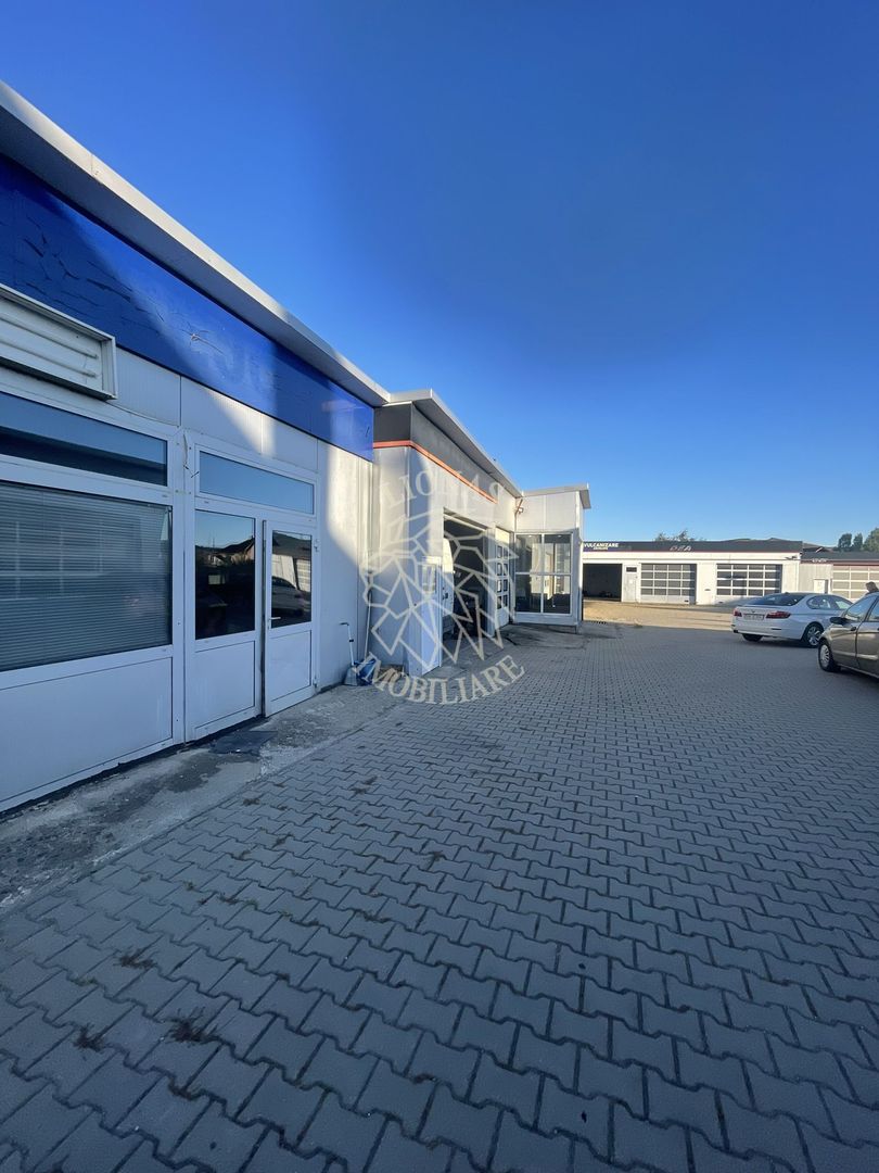 Hala spatiu depozit, service auto, vulcanizare-Viisoara Exclusivitate - Poză 4