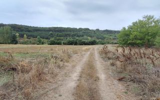 Teren Intravilan/Extravilan de vanzare in Bradestii Batrani - Poză 10