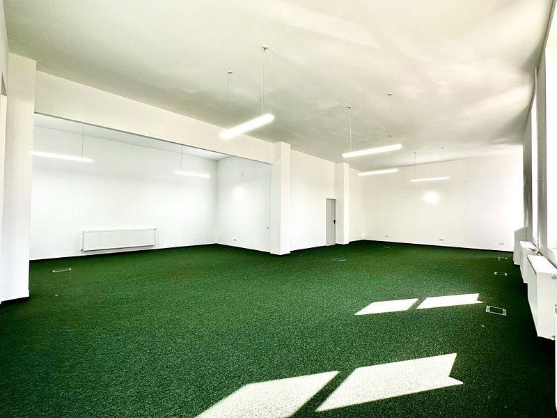 Birouri lângă Primăria Timișoara - Poză 4