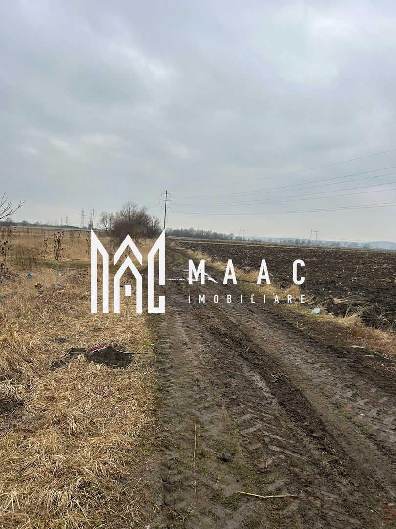 Teren intravilan I 300mp I Gusterita - Poză 12