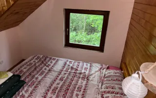 Cabană de vacanță │ Lacul Mujdeni │ natură și relaxare - Poză 12