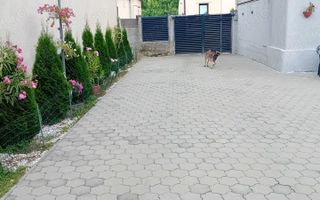 BRASADAS vinde casa cu 3 cam teren 5 ari in zona Piata Mare. - Poză 6