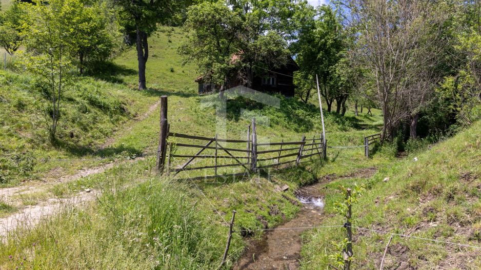 Moieciu de Jos |Teren 11.381 mp | Panoramă, potențial turistic - Poză 18