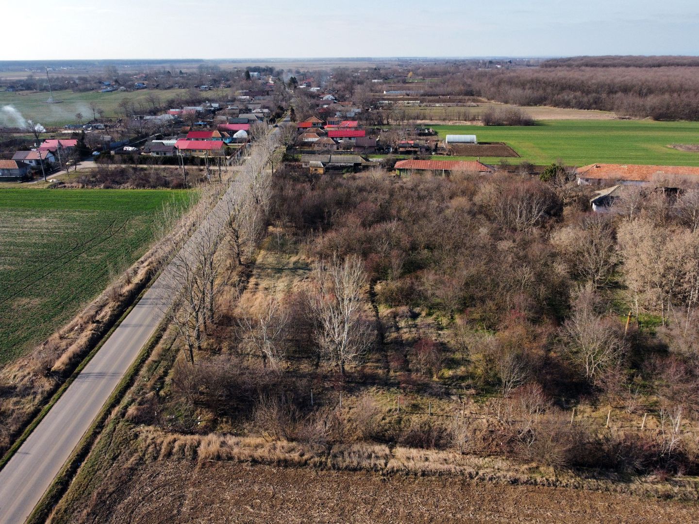Ferma si livada de meri in judetul Ilfov - Poză 12