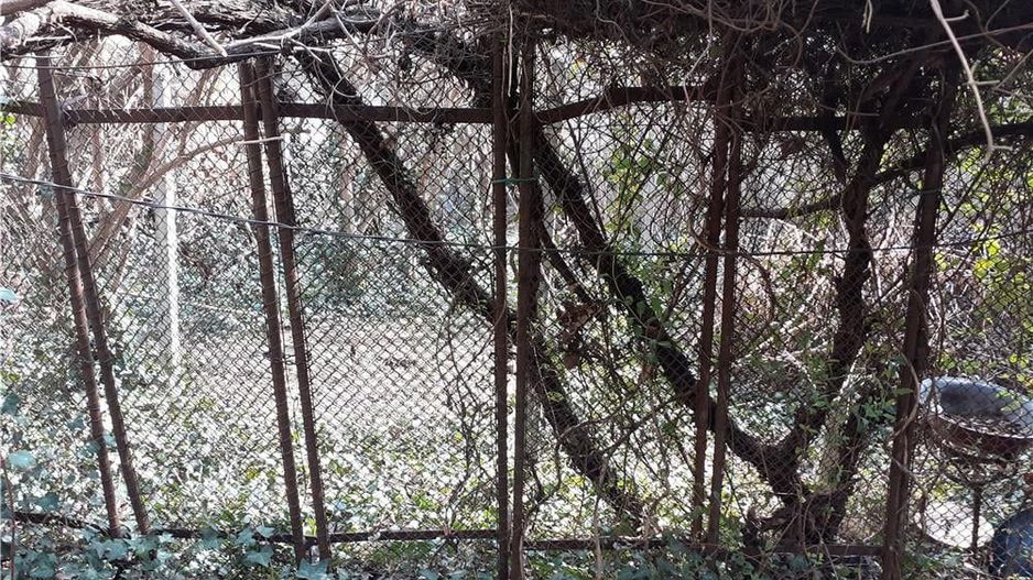 Casa zona Dacia Toamnei - Poză 6