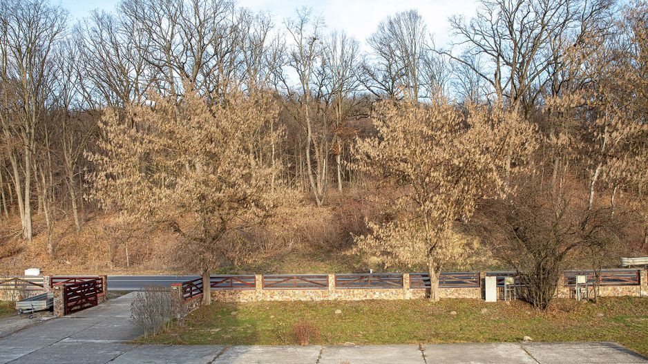 Pensiune, teren 4.460 mp, Hidișelul de Jos, Bihor. 685.000 Euro (neg). - Poză 11