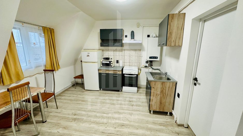 Mansarda recent renovată-Vasile Aaron - Poză 3