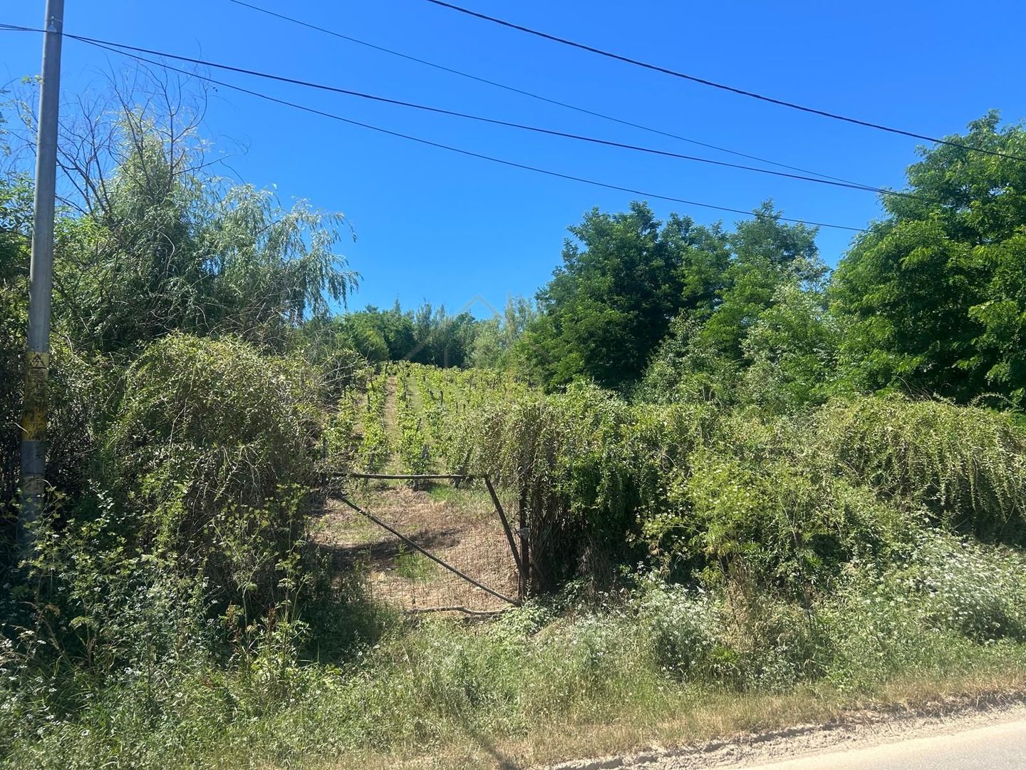 Teren intravilan de vânzare – Andrașești - Poză 2