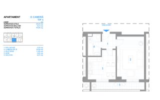 INTABULAT Apartament 1 camera Dec. 44 mp 79000 euro Bucium - Poză 7