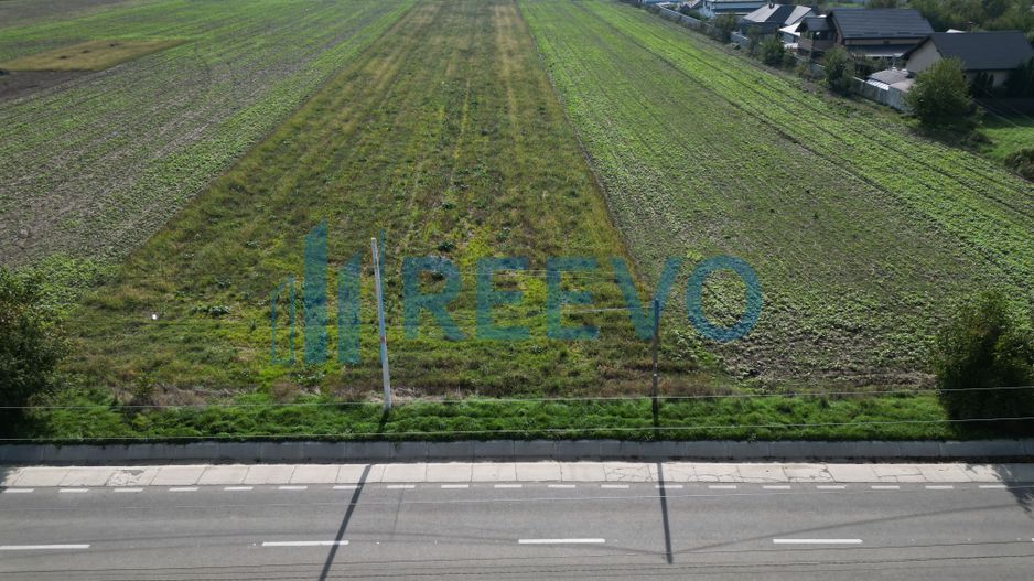 Teren intravilan Bogdan Vodă - Poză 4