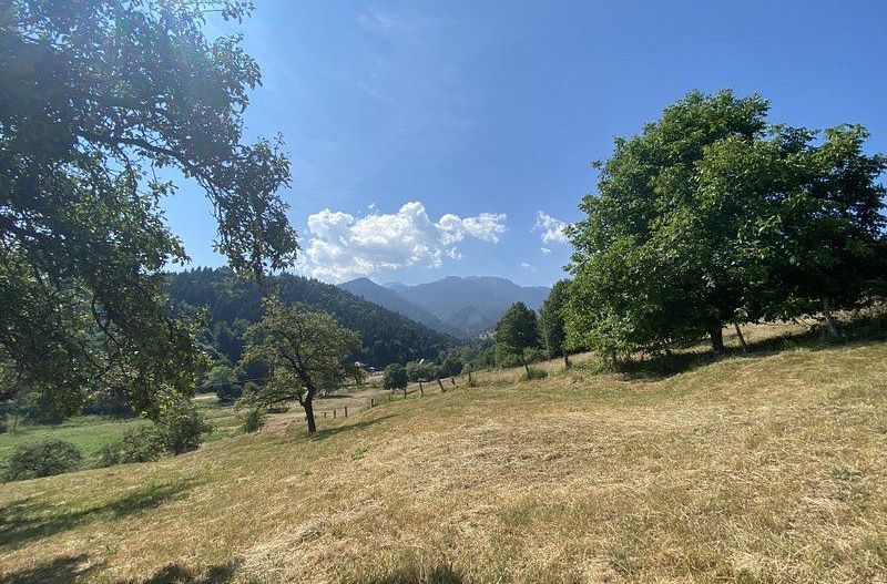 Teren extravilan de vânzare în Râșnov | 6.070 mp | Vedere panoramică - Poză 6