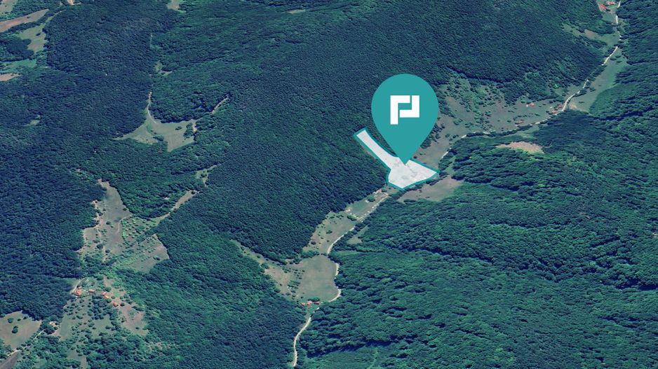 Teren  pentru investiții  în Luncoiu de Jos - Poză 4