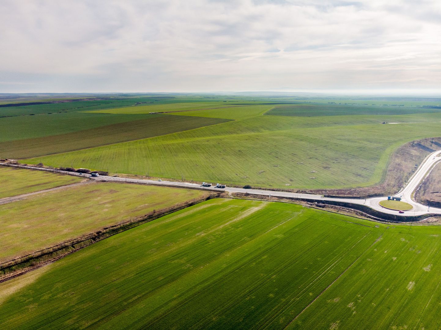 Teren 270,000mp Giarmata - Poză 7