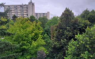 Apartament de 3 camere, 65mp, renovat, zona Iulius Mall - Poză 10