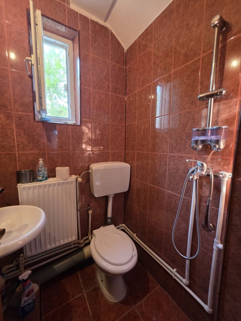 Casă / Vilă cu 8 camere de vânzare în Lapus, Craiova - Poză 13