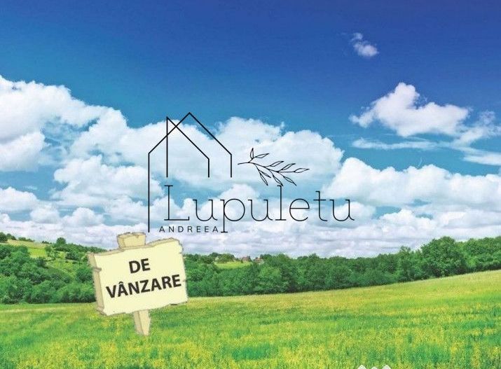 Teren 1300 MPU | Intravilan | Valea Avrigului  | - Poză 1