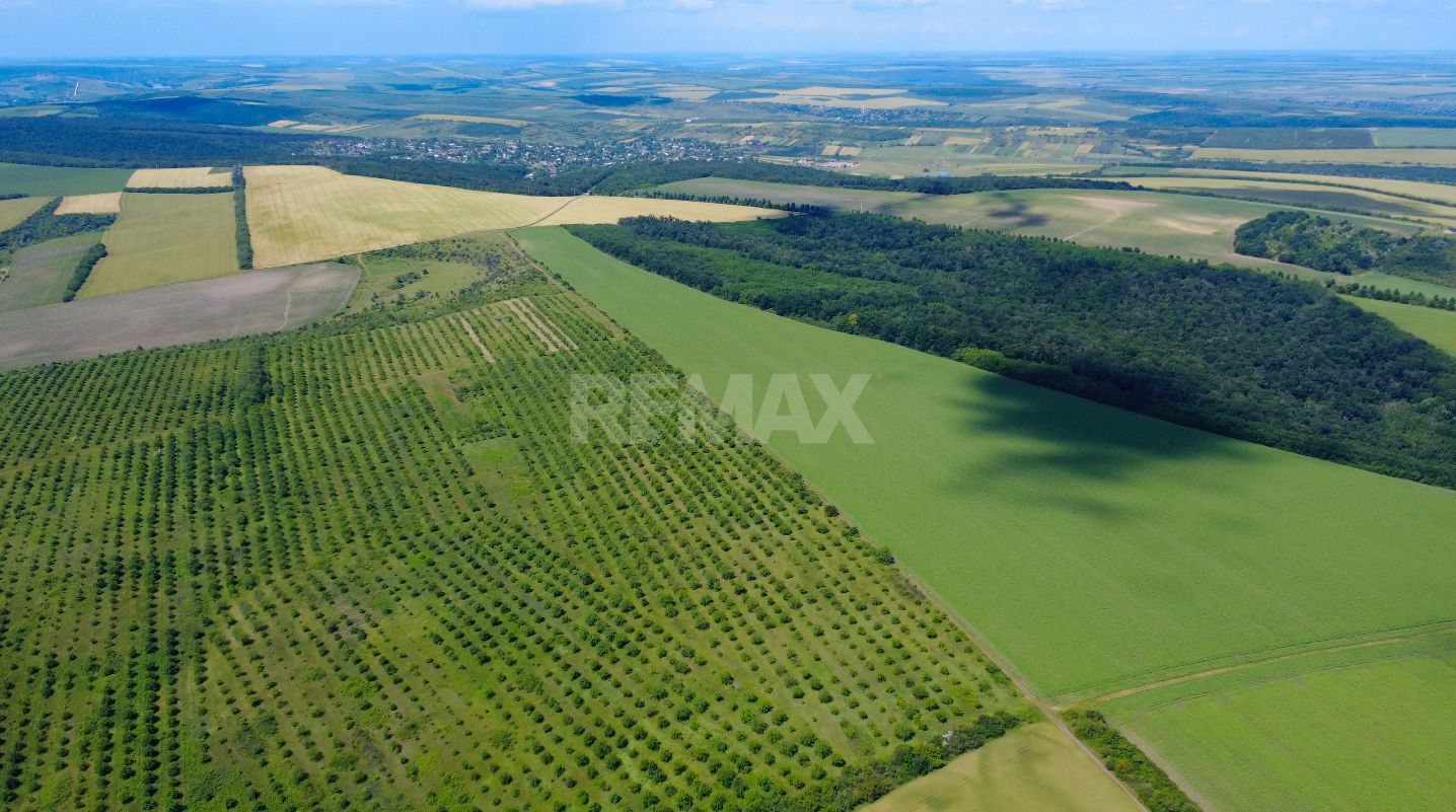 Teren Agricol, 11 HA, Bulăiești, Orhei - Poză 6