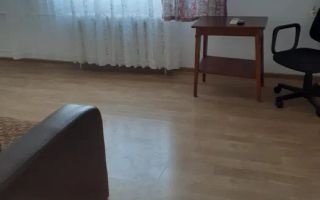 Garsoniera - Zona Luica - Poză 1