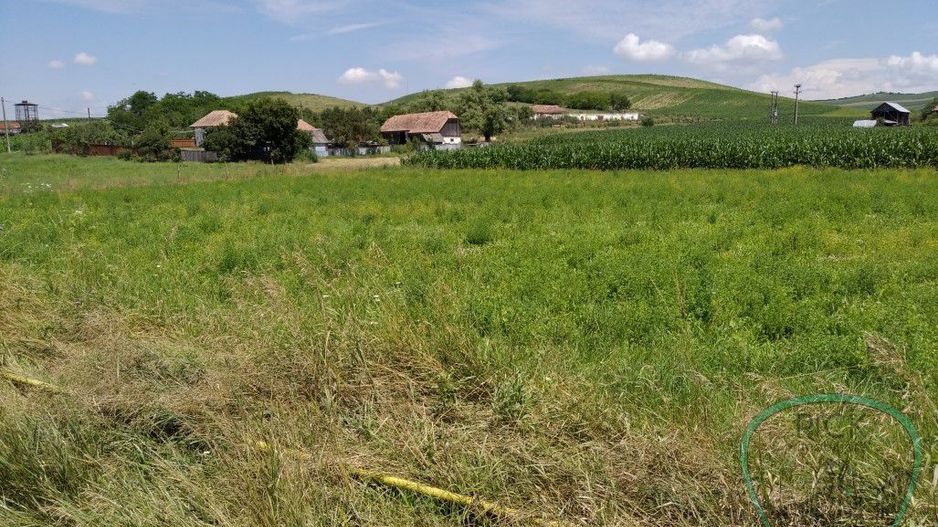 P 1037 - Teren  în județul Mureș - comuna Band - Poză 3