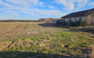 Vand teren cu suprafata de 26.000mp intravilan in Cornetu - Magurele - Poză 3
