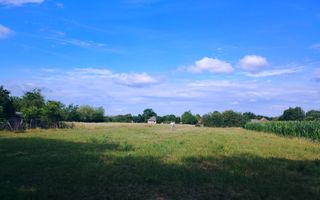 Casă cu teren 5.447 mp și dublu acces | Valea Vinului - Poză 7
