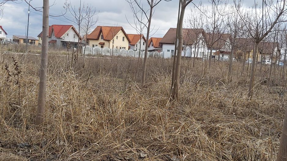 Loturi de teren pentru constructii de case in Paradise Valey - Poză 7