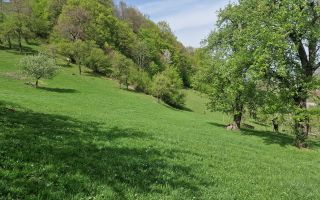 Langa emblematicul Castelul Bran, in areal colinar, 5.700mp intravilan - Poză 13