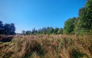 TEREN INTRAVILAN | FRATĂUȚII NOI | 1.1 HA - Poză 8