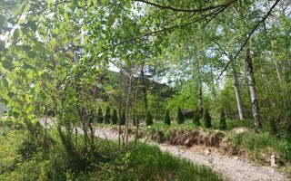 Teren pentru cabana, Marajdie deschidere la rau Gura Raului Sibiu - Poză 2