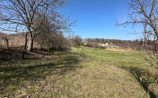 Teren Govora / 8131mp - Poză 2