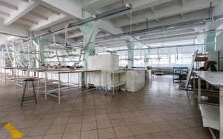 Chirie, spațiu industrial, 3000 mp, str. Sprîncenoaia, Centru - Poză 14