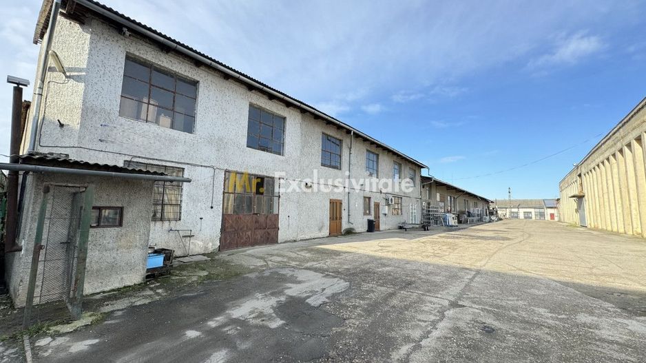 Clădire Industrială Hală Producție, Depozitare, Birouri-Teren 3140 mp - Carei - Poză 2