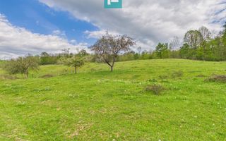 Casă cu teren de 17.681 mp, în loc. Hălmăgel, Arad - Poză 16