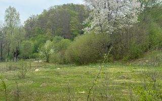 TEREN EXTRAVILAN 40000 MP, ALBESTI DE MUSCEL, CANDESTI - Poză 10