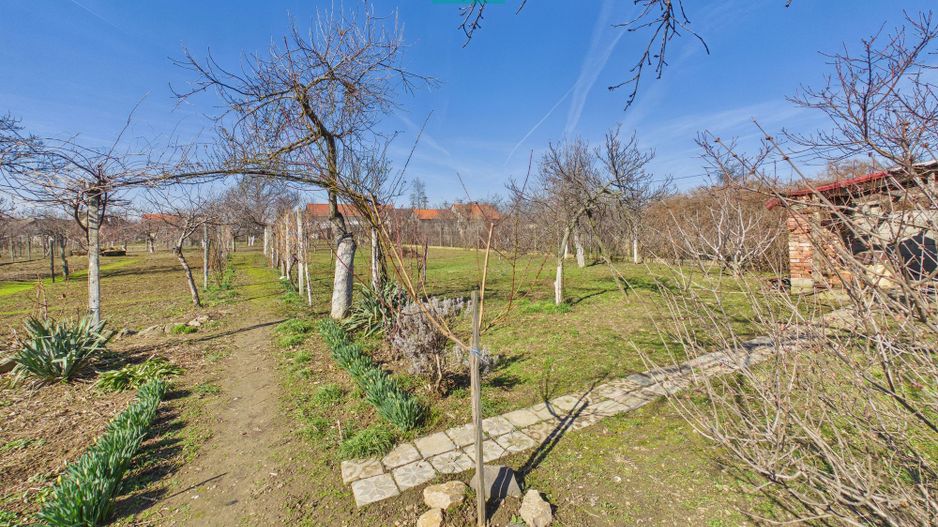 Casă cu 6 camere pe teren de 2029 mp – Miniş - Poză 23